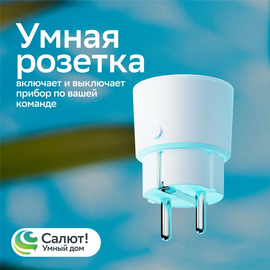  Умная розетка SBER SBDV-00123W 