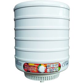  Сушилка для овощей Renova DVN31-500/5 